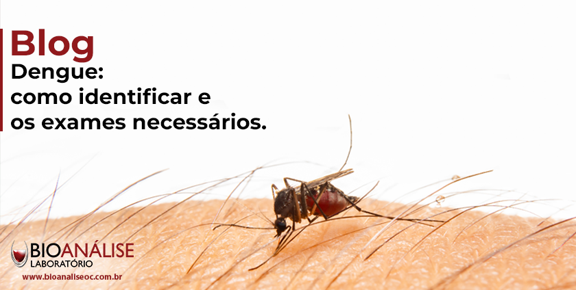 Como identificar a dengue e os exames necessários